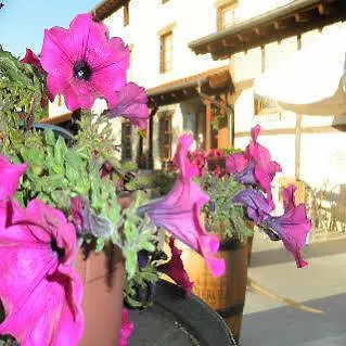 El Coto Restaurante Отель Витория